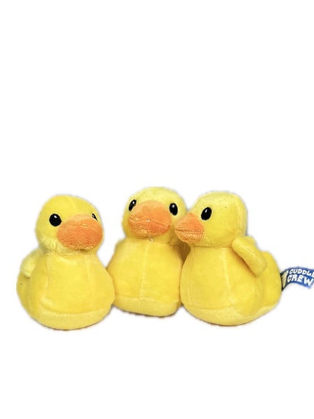 Ankanpoikanen TUPUNEN